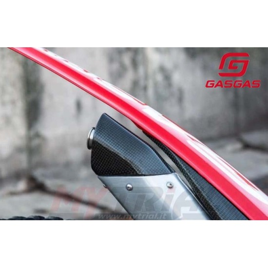 Fondello CARBONIO GAS GAS 2023-2025