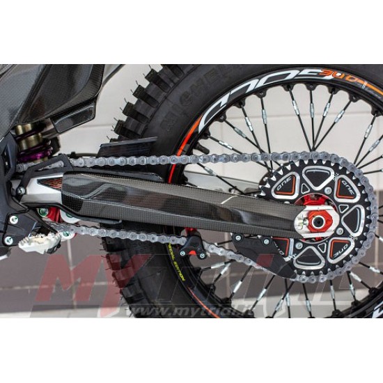 Protezione Forcellone CARBONIO TRS RR 2023