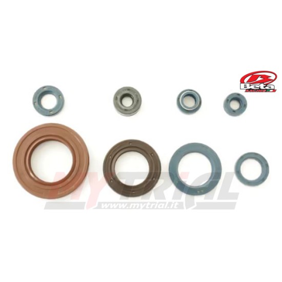 Kit Paraoli Motore Beta TR32 - Beta TR33 - Beta TR34 - Beta Zero - 125cc - 240cc - 260cc