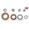 Kit Paraoli Motore Beta TR32 - Beta TR33 - Beta TR34 - Beta Zero - 125cc - 240cc - 260cc