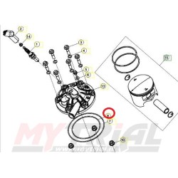 Oring Interno Testa BETA SINCRO 300cc