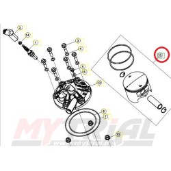 Pistone BETA SINCRO 300cc