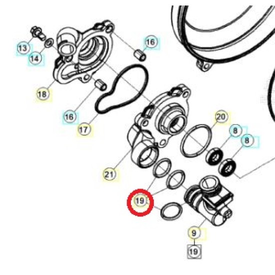 Oring Pompa Acqua BETA SINCRO 2026