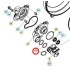Oring Pompa Acqua BETA SINCRO 2026