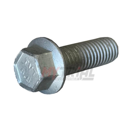 Vite Flangiata 8x25 CH10 BETA