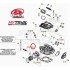 RACCORDO COMPLETO per Carburatore BETA EVO 4T