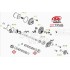 Oring Filtro Olio per BETA 4T REV-EVO 07-25