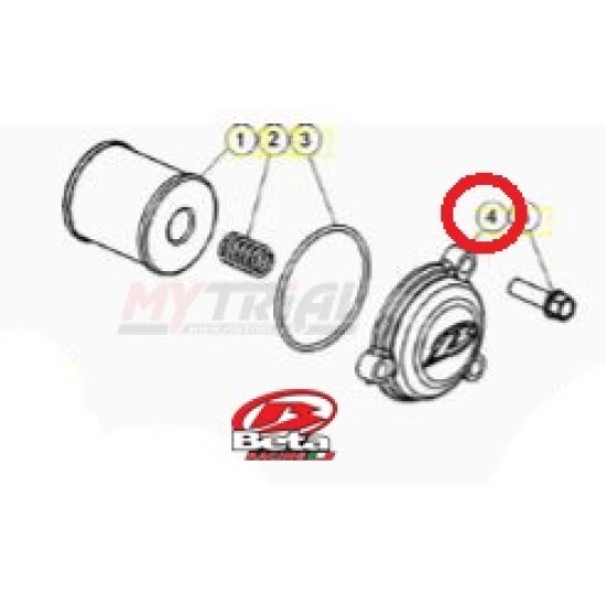 Bullone Coperchio Filtro Olio per BETA 4T REV-EVO 07-24