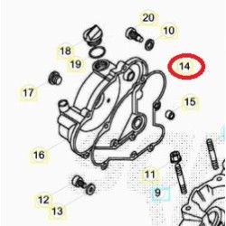 Guarnizione Frizione BETA EVO 80, JUNIOR E SENIOR