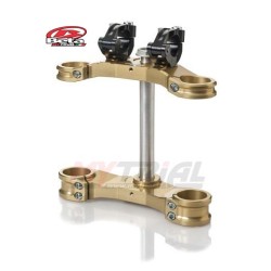 Piastre Forcella BETA EVO FACTORY (Oro)
