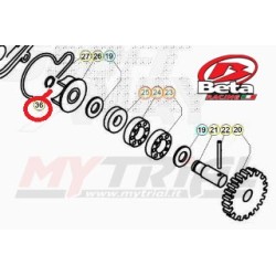 Seeger Pompa Acqua BETA REV-EVO-TECHNO 95-24