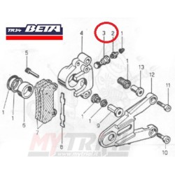 Bullone Sfiato Completo Pinza Freno Posteriore BETA TR 34