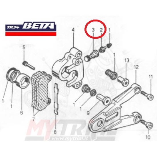 Bullone Sfiato Completo Pinza Freno Posteriore BETA TR 34