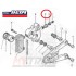 Bullone Sfiato Completo Pinza Freno Posteriore BETA TR 34