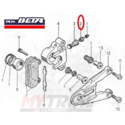 Vite Spurgo Pinza Freno Posteriore BETA TR 34