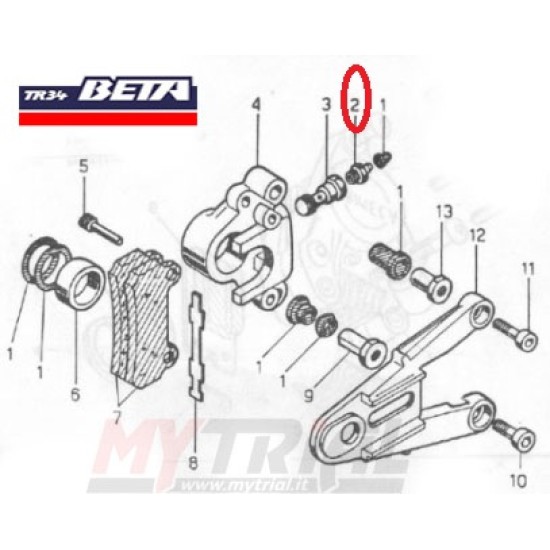 Vite Spurgo Pinza Freno Posteriore BETA TR 34