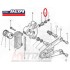 Vite Spurgo Pinza Freno Posteriore BETA TR 34