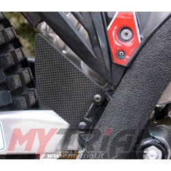 Protezione Pompa Freno Posteriore MONTESA 4RT 2005-2026