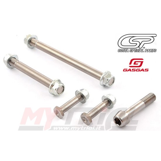 KIT VITERIA TITANIO LEVERAGGI GAS GAS