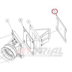 Guarnizione Pacco Lamellare GAS GAS (ORIGINALE)
