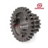 Pignone 3-6 Albero primario GAS GAS