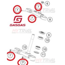 Torx Piastre Forcelle Gas Gas 2023-24