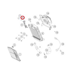 Oring Sistema di Raffreddamento GAS GAS GP/RACING 23/24