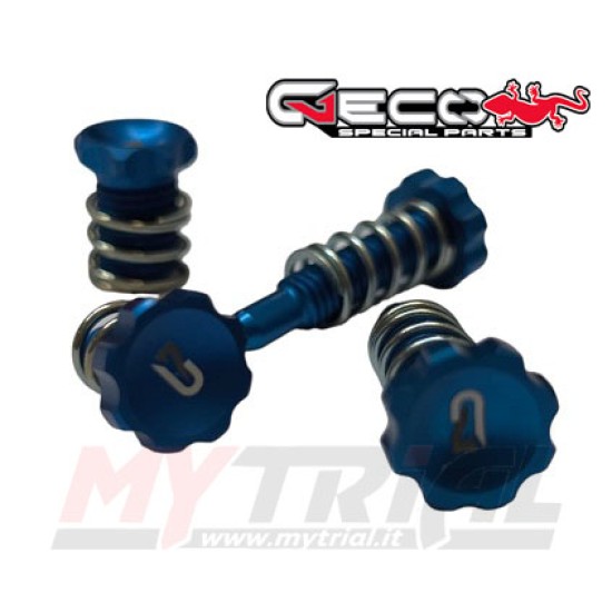 Kit Registri Leve BETA SINCRO/EVO FACTORY - GECO SPECIAL PARTS