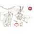 Bullone Inferiore Pinza MONTESA 315-4rt