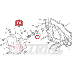 Oring Spingidisco Frizione MONTESA 4RT