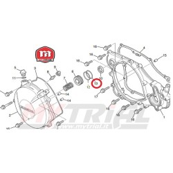 Oring Spingidisco 21.8X2.4 Frizione MONTESA 4RT