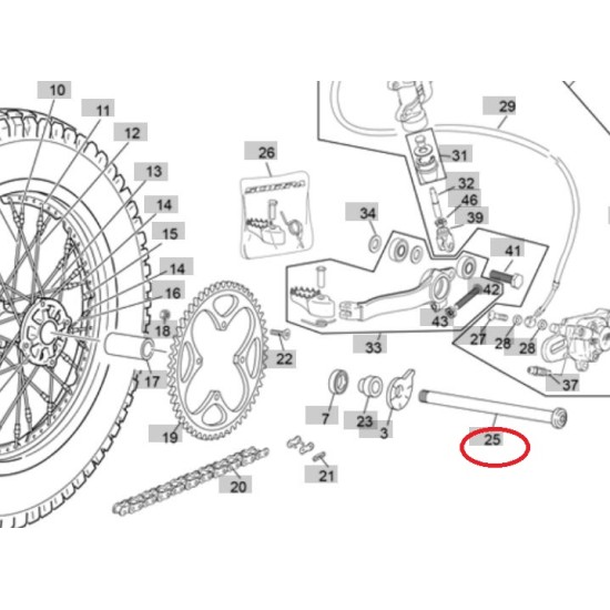 Perno Ruota Posteriore SHERCO 14-25, SCORPA 16-25