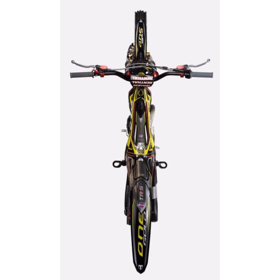 Adesivo Parafango Posteriore TRS GOLD 2019