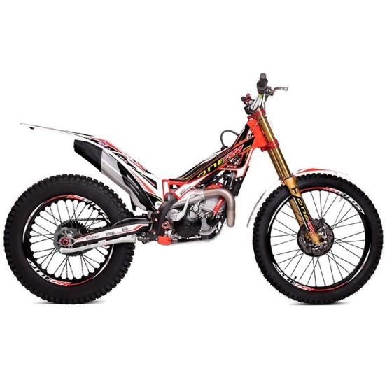 Adesivo Forcella Destra TRS RR 2020