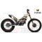 Adesivi Forcella TRS RR 2025