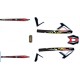 Adesivi Telaio e Forcellone TRS RR 2026