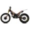 Adesivi Forcella TRS RR 2026