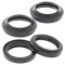 Kit Paraoli e  Antipolvere Forcella Paioli Beta Evo e Rev 01-25, Sherco 99-10