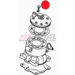 Bullone Coperchio Testa BETA EVO 80cc / REV