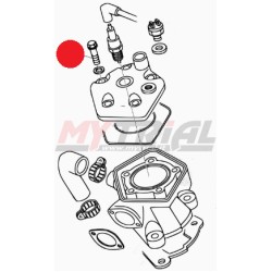 Bullone Coperchio Testa BETA EVO 80cc / REV