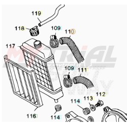Tubo Radiatore Superiore BETA 80cc