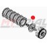 Tamburo Frizione BETA EVO 2T 250/300cc 2014/2025