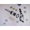 Oring ATTUATORE Corpo Pompa Frizione Beta TECHNO-REV-EVO 94-21