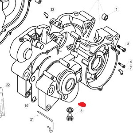 Guarnizione Tappo Olio Motore BETA Sincro 2t, Beta Evo 2T/4T e Rev 2T