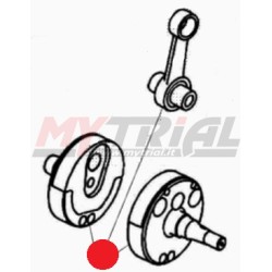 Albero Motore Completo BETA EVO 2T 16-22