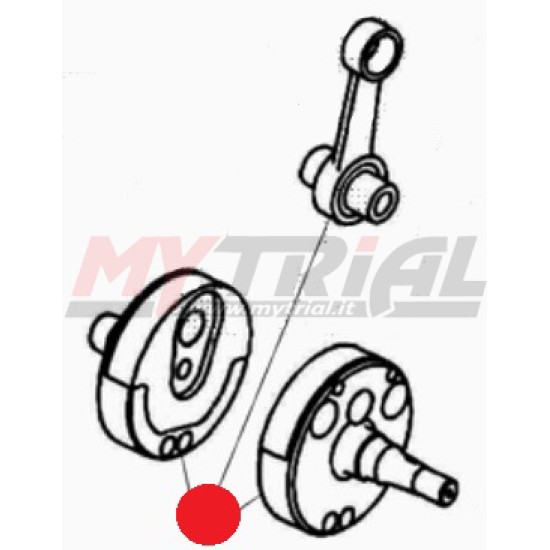 Albero Motore Completo BETA EVO 2T 16-22
