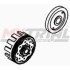 Trasmissione Primaria con Campana Albero Motore BETA EVO 14-22 (250/300cc)
