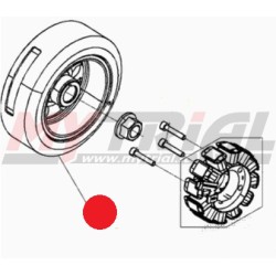 Rotore Volano BETA EVO 2T 250/300cc 2019-2022