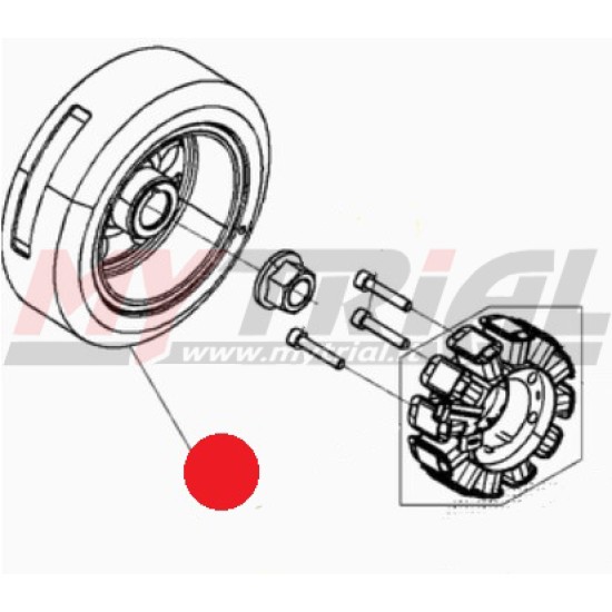 Rotore Volano BETA EVO 2T 250/300cc 2019-2022