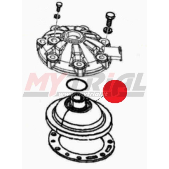 Inserto Testa Beta Evo 300 2T (17-22)